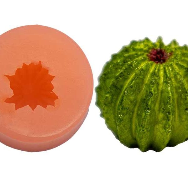 Küçük Yuvarlak Kaktüs Silikon Mum Kalıbı M-211