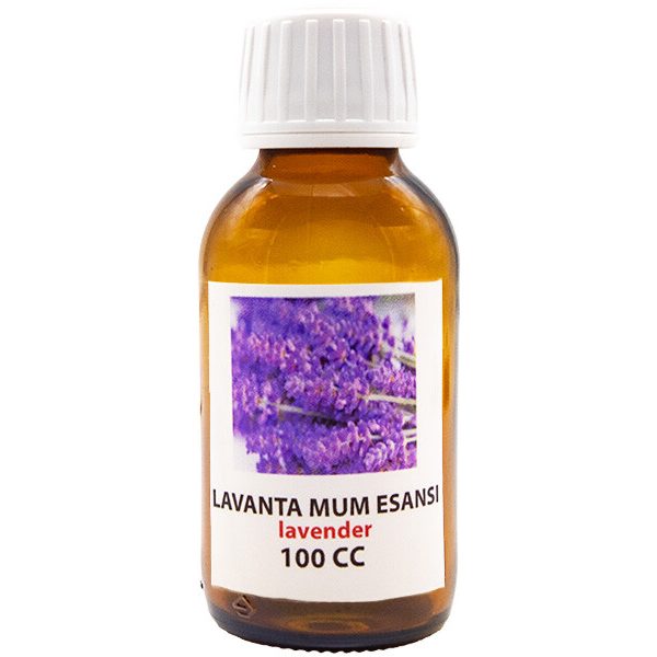 Lavanta Mum Esansı 100 CC