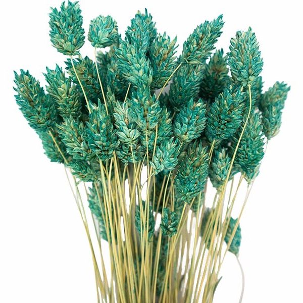 Mint Yeşili Kuş Otu Kuru Çiçek Demeti