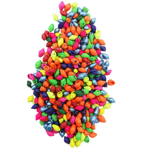 Renkli Deniz Kabuğu 1 KG