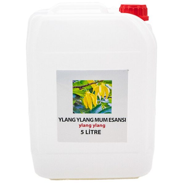 Ylang Ylang Mum Esansı 5 LT