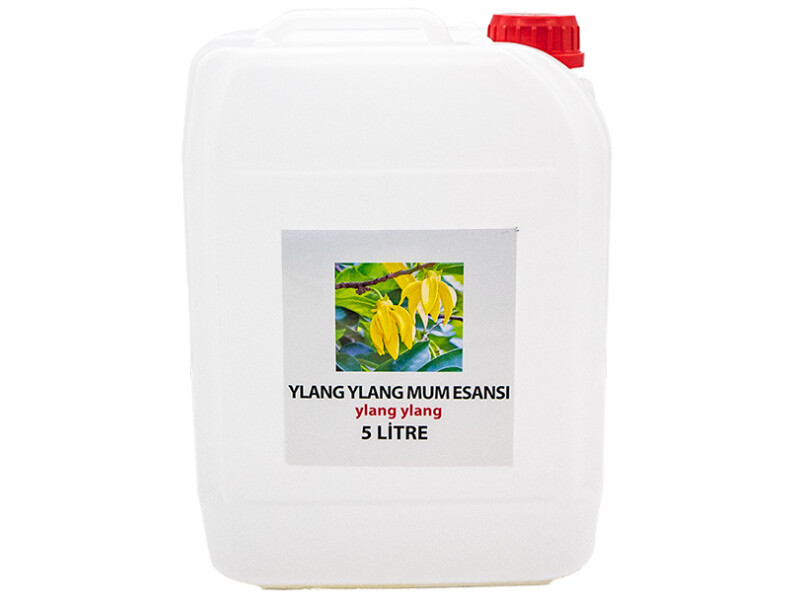 Ylang Ylang Mum Esansı 5 LT